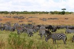 Masai_20