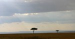 Masai_32