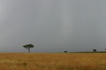 Masai_33