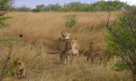 Masai_35