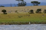 Naivasha_10