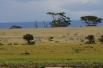 Naivasha_11