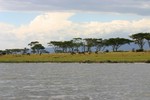 Naivasha_12