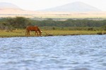 Naivasha_14