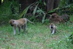 Naivasha_15