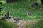 Naivasha_16