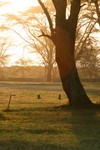 Naivasha_17