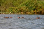 Naivasha_2