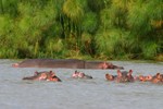 Naivasha_4
