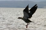 Naivasha_7