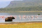 Nakuru_13