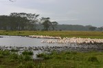 Nakuru_19