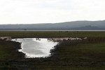 Nakuru_21