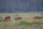 Nakuru_23