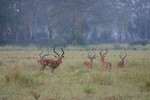 Nakuru_24