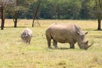 Nakuru_3