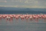 Nakuru_31