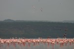 Nakuru_34