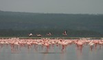 Nakuru_35