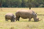 Nakuru_4