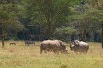 Nakuru_5