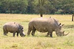 Nakuru_6