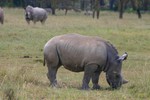 Nakuru_8