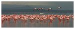 nakuru16