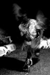 dance_10