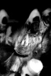 dance_13