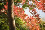 20111224-IMG_3560