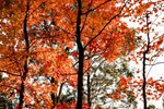 20111225-IMG_3689