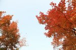 20111225-IMG_3738