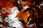 20111225-IMG_3773