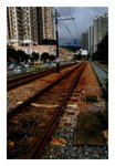 railIMG_2641b