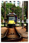 railIMG_2689b