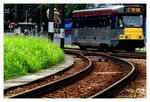 railIMG_2705b