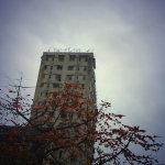 DSC00401c