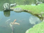 �ʳ�> �D�o�s> ���s�x> �䷽��