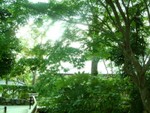 �ʳ�> �D�o�s> ���s�x> �x��