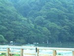 �ʳ�> �D�o�s> ���� ����