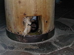 �ҤO�h�]��ı��