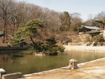 DSCF0227d