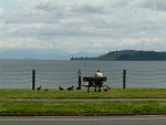 Scenary @ Lake Taupo