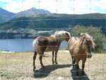 Deer park tour 01