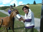 Deer park tour 59
