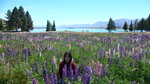 17 LakeTekapo