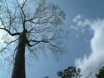 DSCF0374