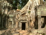 DSCF0379