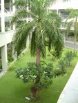 DSCF0025